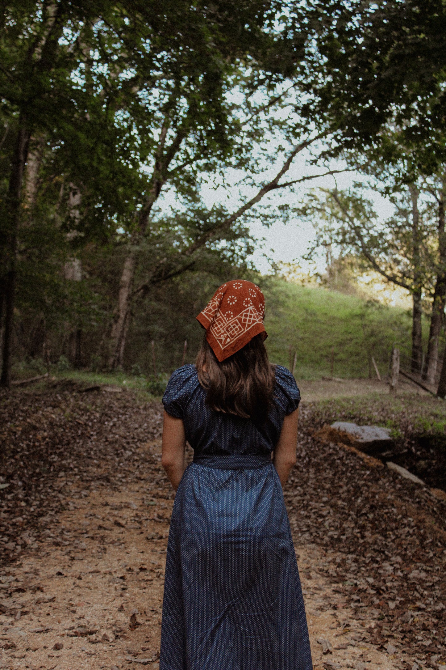 The Willa Dress  Navy Blue Button Down Cotton Midi Dress